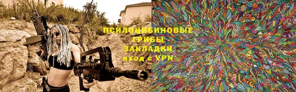 PSILOCYBIN Белоозёрский