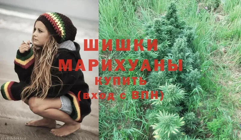 Конопля SATIVA & INDICA  Луза 